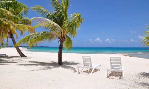 Pension Tikehau Paradise